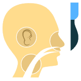 ENT, Head & Neck Surgery