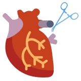 Cardiothoracic & Vascular Surgery