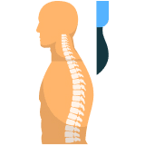 Spine Surgery