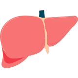 Hepatology
